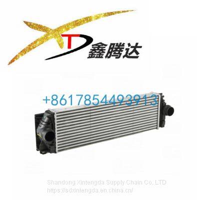 Mercedes-benz Commercial vehicle Radiator intercooler Assembly 9065010201/2E01455804A