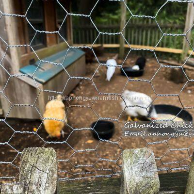 Chicken Wire Hexagonal Wire Mesh Chicken Wire Netting Wire Netting Poultry Fence Poultry Mesh photo-5