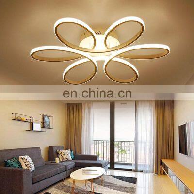 LED Modern Ceiling Light Living Room Ceiling Light LED Pendant Lighting For Home photo-4