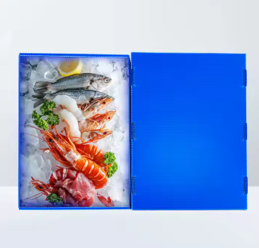 Eco-Friendly PP Corrugated Seafood Packaging – Durable Boxes for Fish Transport photo-2
