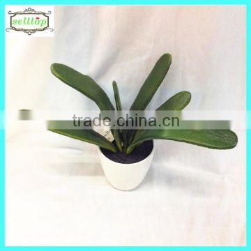 25cm high quality real touch succulent plant