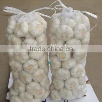 Pure White Garlic