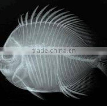 Agfa Dry Film/led Light Film/thermal Imaging Digital Film Dry Film Printer photo-3