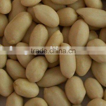 lastest price for Shangdong peanut blanched
