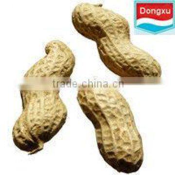 chinese good quality raw organic peanuts luhua