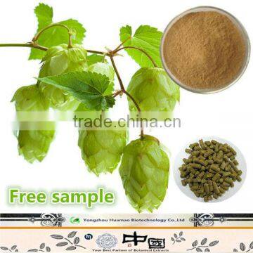 Manufacturer supply natural organic european hop flower extract powder