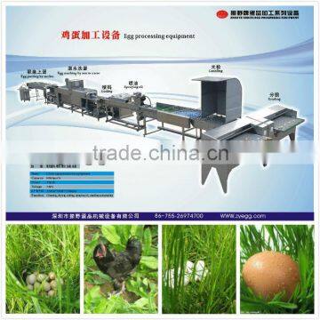 egg processing equipment/egg cleaning grading equipment