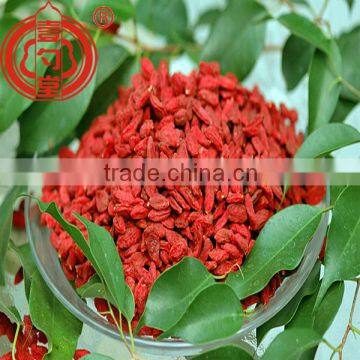 Berry goji health food