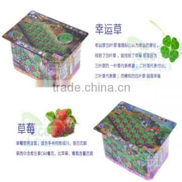 Happy farm-Clover and Strawberry,Decorative plants