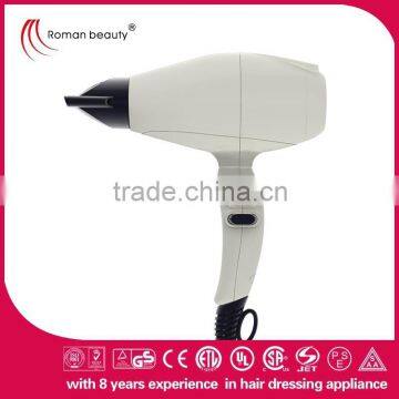 AC hair dryer brushless hair dryer white hair dryer