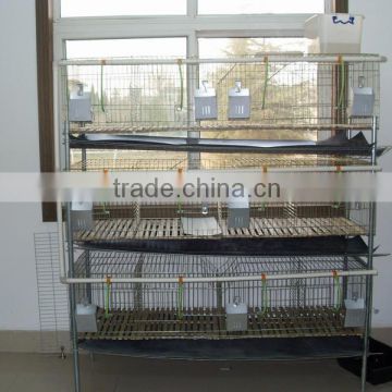 Anping factory Best selling welded rabbit cage