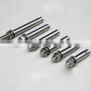 high quality Galvanized Expansion Anchor Bolt M16