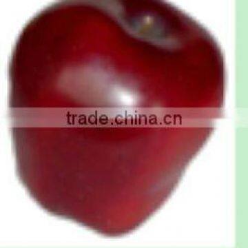 nice and exquisite 2011 new design fake fruit