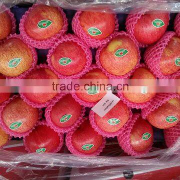 SELECTED QINGUAN APPLES photo-6