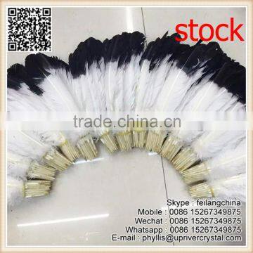 Factory Wholesale Price Natural Wite Black Tip Large Turkey Feather