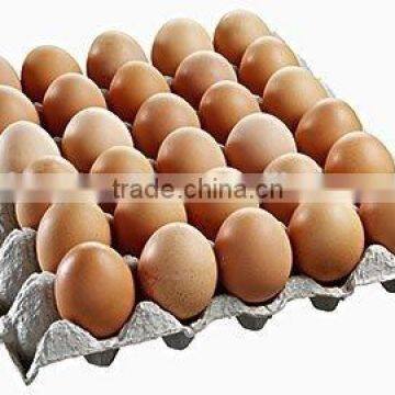 WHOLE PRODUCTION LINE Paper Egg Carton Making Machine/electronic Products Paper Tray Equipment With Drying Equipment(customzied) photo-3