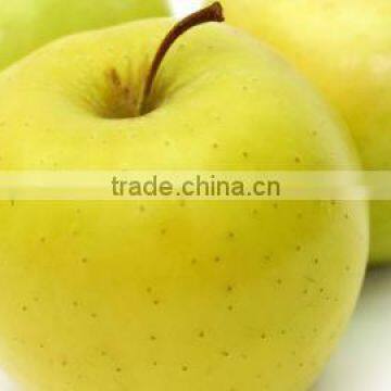 Chinese Fresh Sweet Golden Delicious Apple With Good Quality