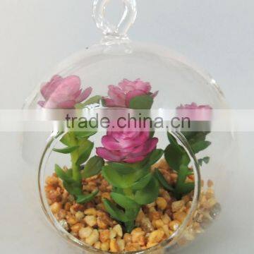 Made in China Unique Hanging Glass Ball Succulent