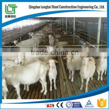 light steel structure sheep shed