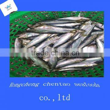 ingredient canned sardine fish