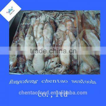 BQF argentina squid frozen squid for sale in weihai