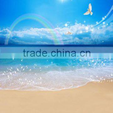 Digital Background Scenery Photograph Studio Backdrop