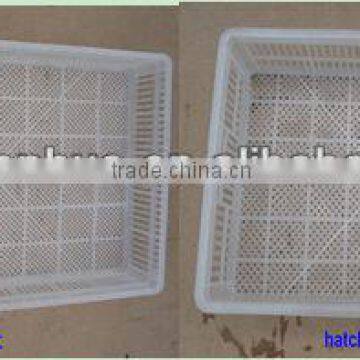 high quality incubator egg plastic hatchery box/hatchery basket