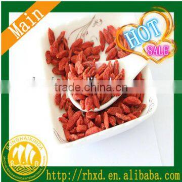 china organic goji berries goji berry goji berry pe for wholesales