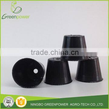 Forms for Potted Seed Flowers Plant photo-2