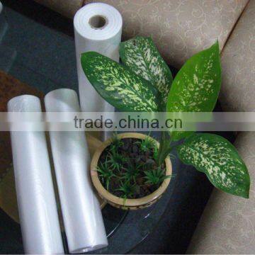 HDPE TRANSPARENT BAG ON ROLL (CERTIFICATE EC 1935/2004, LFGB...)