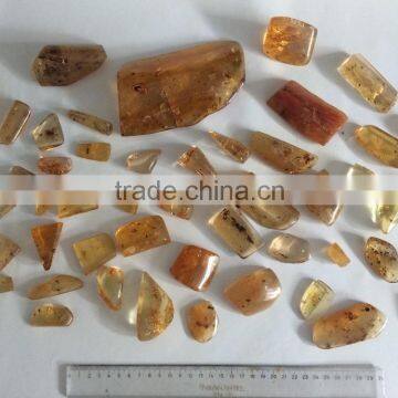 Colombian Amber (Copal) - Polished With Insects photo-2