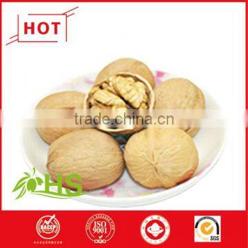 Good Price and Highly Nutritive Walnuts for Sale