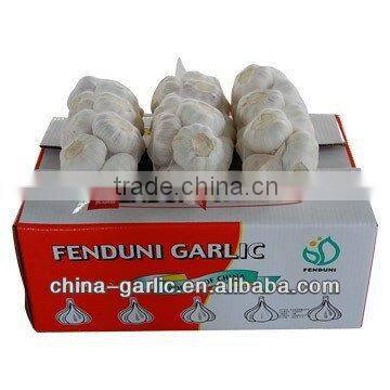 Folding Cardboard Boxes for Fruit / Vegetable / Beer Package