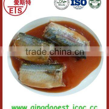 Canned Mackerel in Tomato Sauce With Competitive Price From China