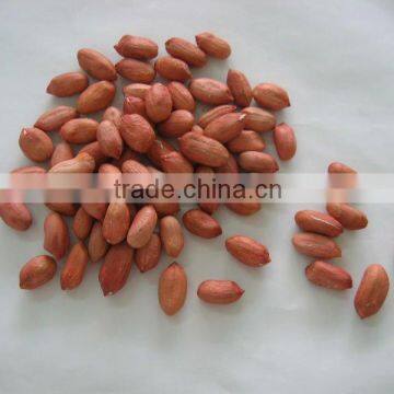 shandong peanut kernels in red skin