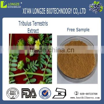 lowest price tribulus terrestris extract directly from manufacturer, supplier