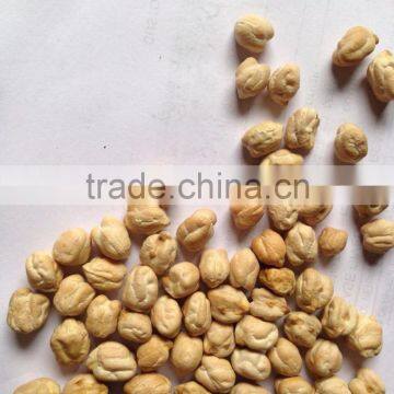 Chick Pea photo-3