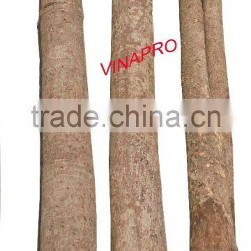 VIETNAM WHOLE CASSIA CINNAMON-HIGH QUALITY