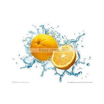 HP-360 Powerful New Product Spray Vegetable and Fruit Washing Machine photo-5