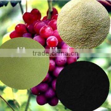 soluble seaweed extract powder flake plant growth regulator