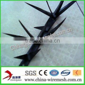 Galvanized Barbed Nails / Barbed Nails ( Factory ) photo-2
