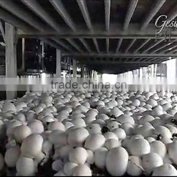 Aluminum Alloy Planting Frame photo-3