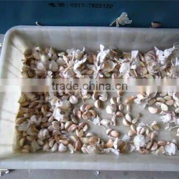 Good Selling Garlic Clove Separator Machine With Factory Price photo-4