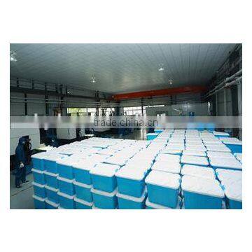 Yoyo Check Now 2 Compartment Plastic Lunch Box Food Container With Clear Lid photo-5