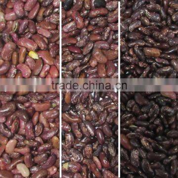 2017 New Products Purple Bean Color Sorter Machine photo-2