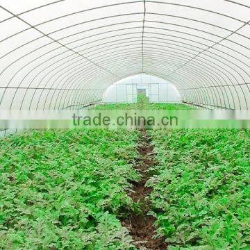 Tunnel Plastic Greenhouse Film Agriculture Greenhouse Poly Films photo-2