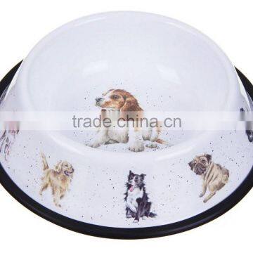 Carbon Steel With Powder Coated Food/Water Serving Cat Feed Pet Bowl photo-3