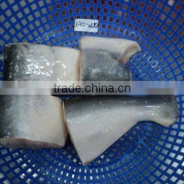 Frozen Pangasius Steak/ Basa Fillet/ Frozen Pangasius Fillet/ Frozen Pangasius Whole/Frozen Pangasius Rose/ Frozen Fish Fillet photo-2