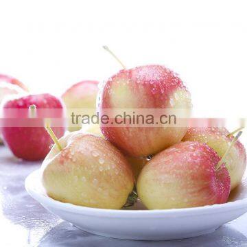 Chinese Crisp and Sweet Red Fuji Apples Very Popular photo-2