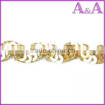 2017 Nice Embroidery Sequin Decorative Lace Trim (YFT-099) photo-6